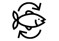 Fish Subscription Icon